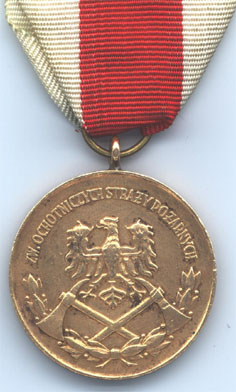 Бронзовая медаль "За заслуги в пожарном деле" (аверс)