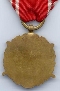 Бронзовая медаль "ВС на службе Родине"- 5 лет (реверс)