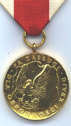 Золотая медаль "За заслуги при защите страны" (аверс)