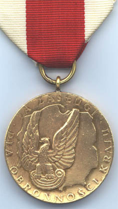 Бронзовая медаль "За заслуги при защите страны" (аверс)