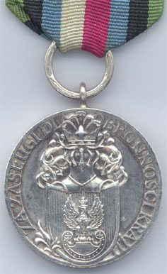 Серебряная медаль "За заслуги при защите страны" (аверс)